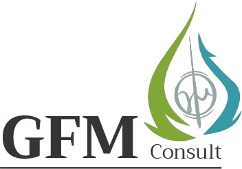 GFM Consult